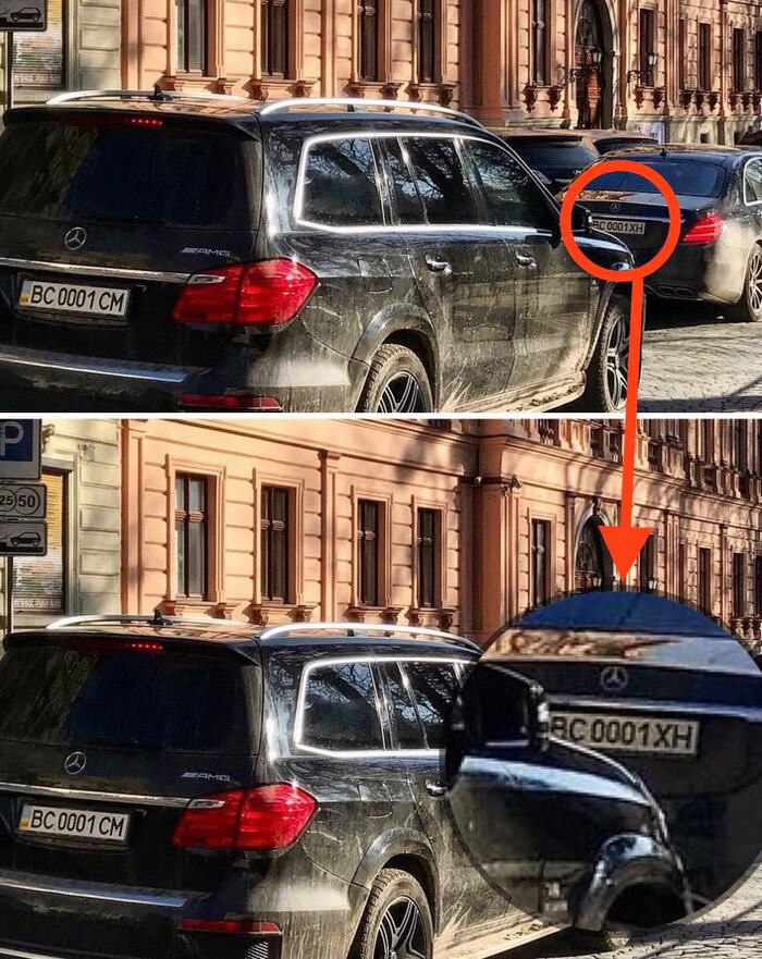 мираторг