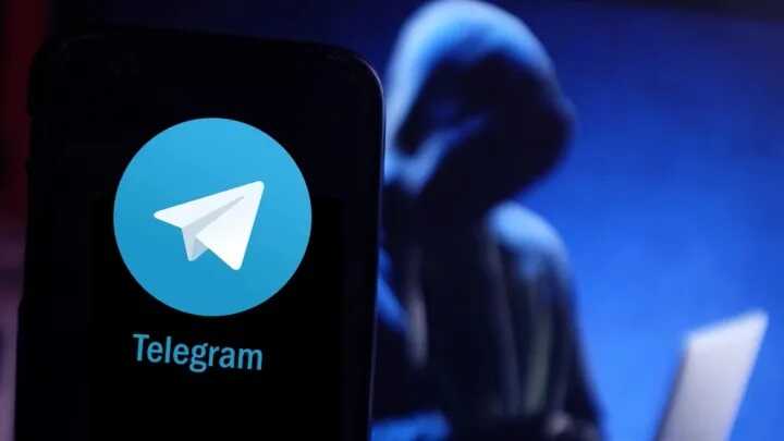 Полиция Нидерландов разоблачает Telegram-мошенников