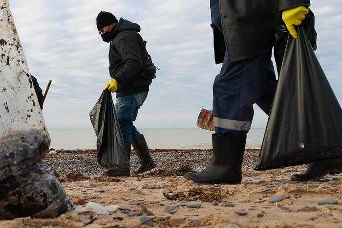Госдума обвиняет волонтеров в самоуправстве на фоне экологической катастрофы