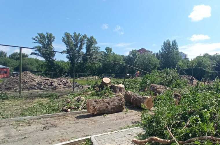 Многомиллионное озеленение с вырубкой: в Детском парке Саратове снова пилят деревья